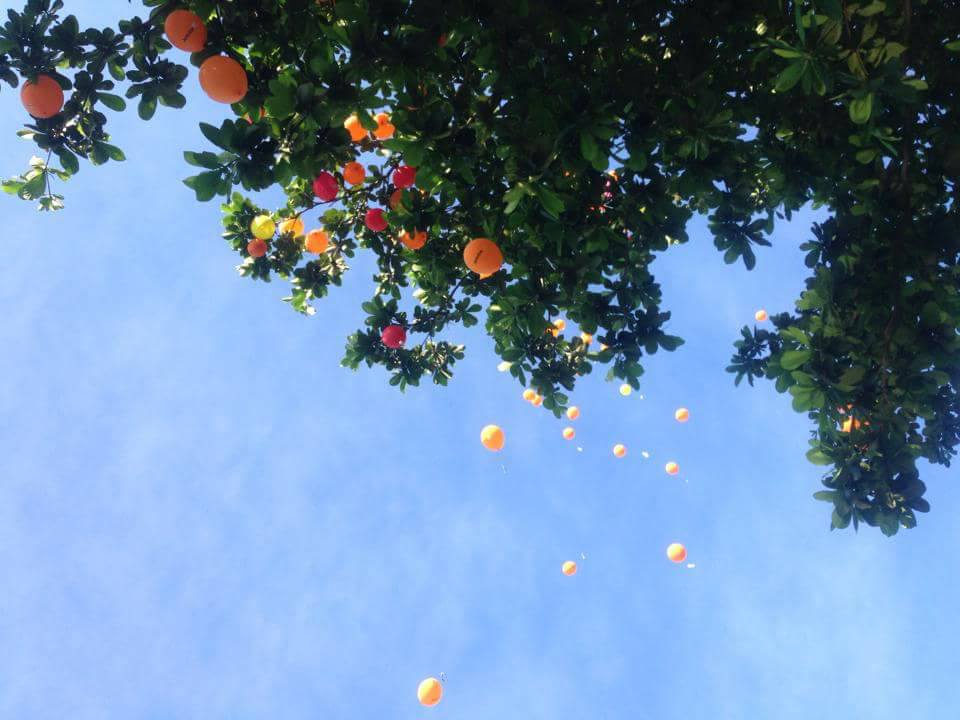 Ngày hội TKT Khánh Hòa