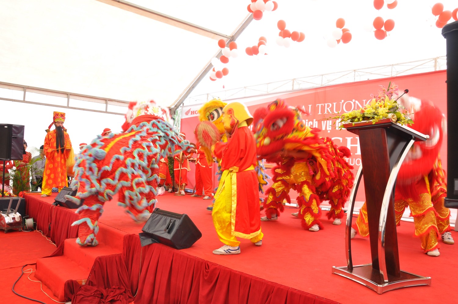 KT HEAD Tường Nghiêm