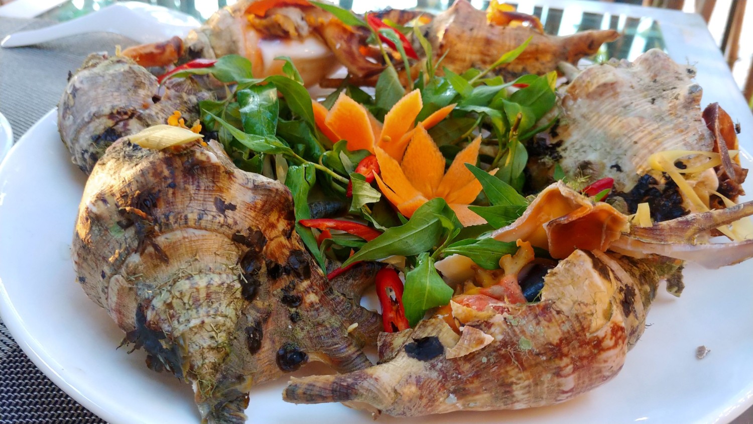 KHAI TRƯƠNG NH TẠP DỀ ĐỎ